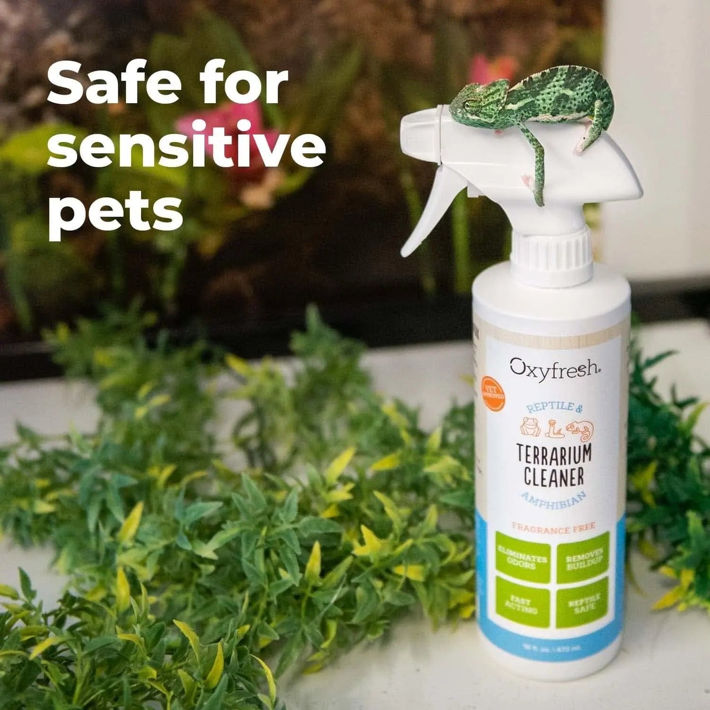 Terrarium Cleaner Odor Eliminator