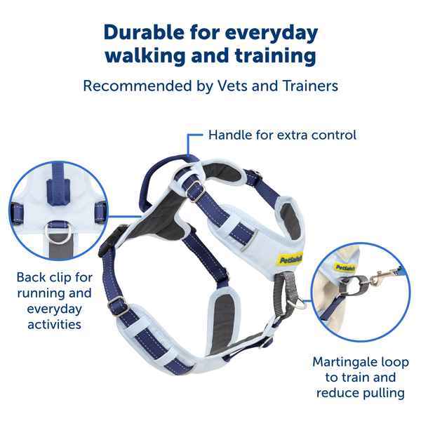 Easy Walk Comfort Harness