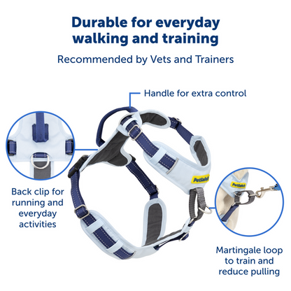 Easy Walk Comfort Harness