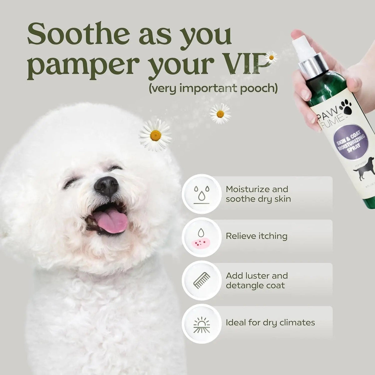 Dog Shampoo & Conditioner