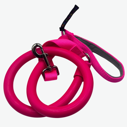 No-Pull Dog Leash