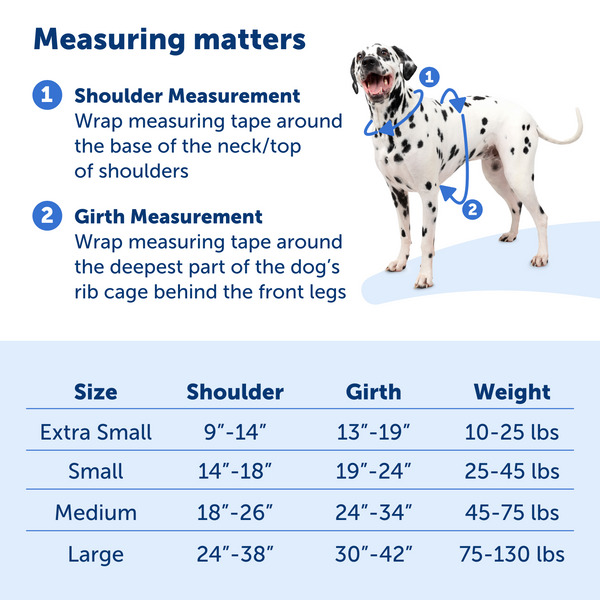 Easy Walk Comfort Harness