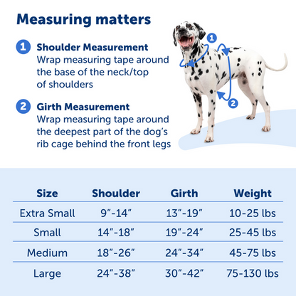 Easy Walk Comfort Harness