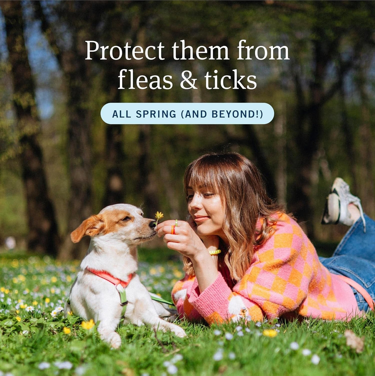 Flea Tick Treatment for Dogs
