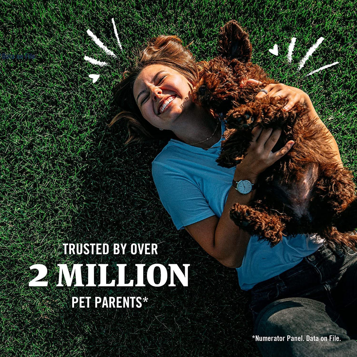 Flea Tick Treatment for Dogs