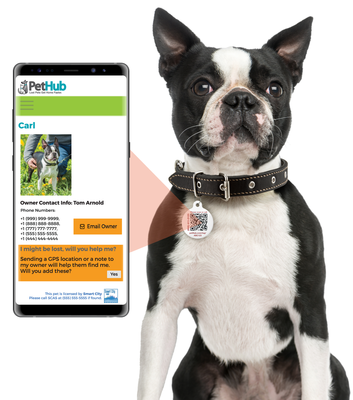 ID Pet Tag