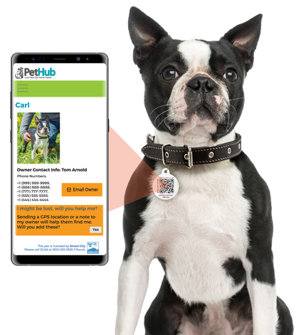 ID Pet Tag