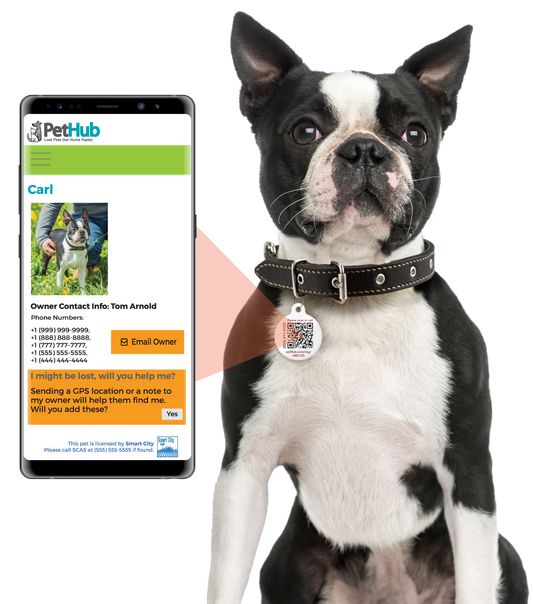 QR Pet ID Sticker