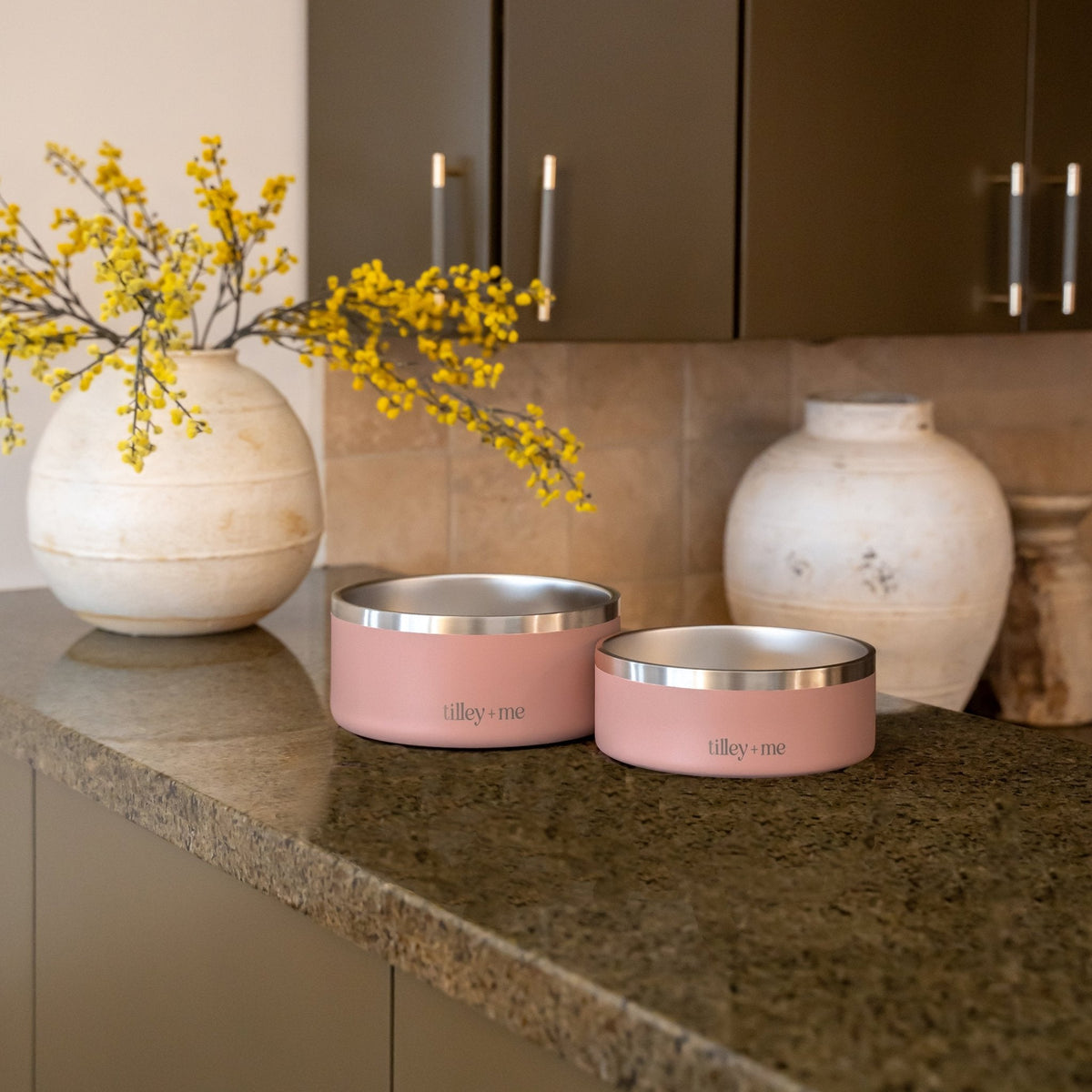Stainless Steel Pet Bowl