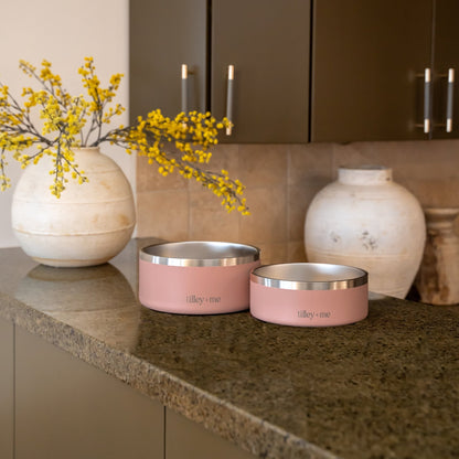Stainless Steel Pet Bowl