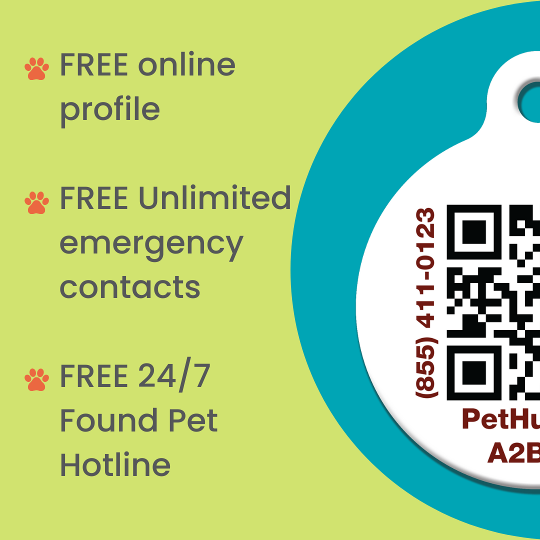 QR Pet Identification Card