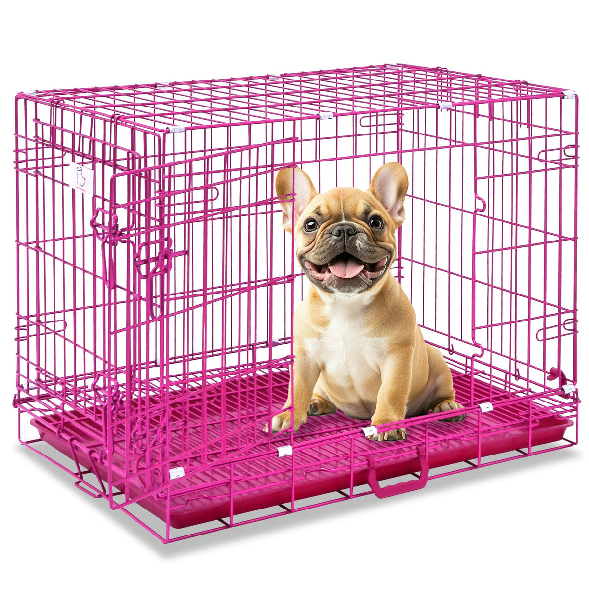 Collapsible Dog Crate