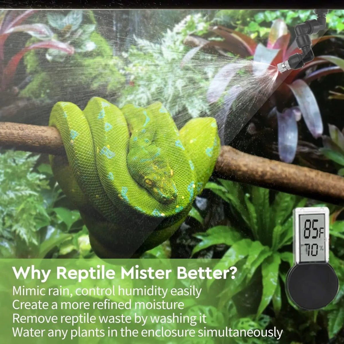 Reptile Misting System