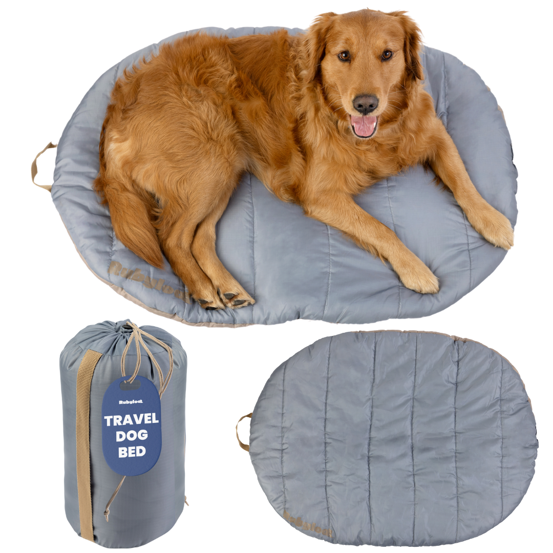 Travel Dog Bed