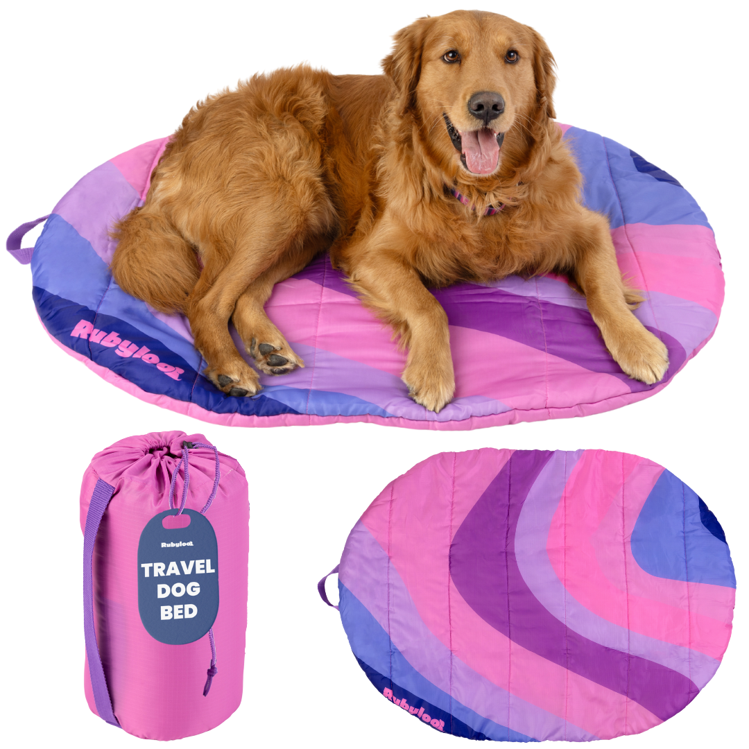 Travel Dog Bed