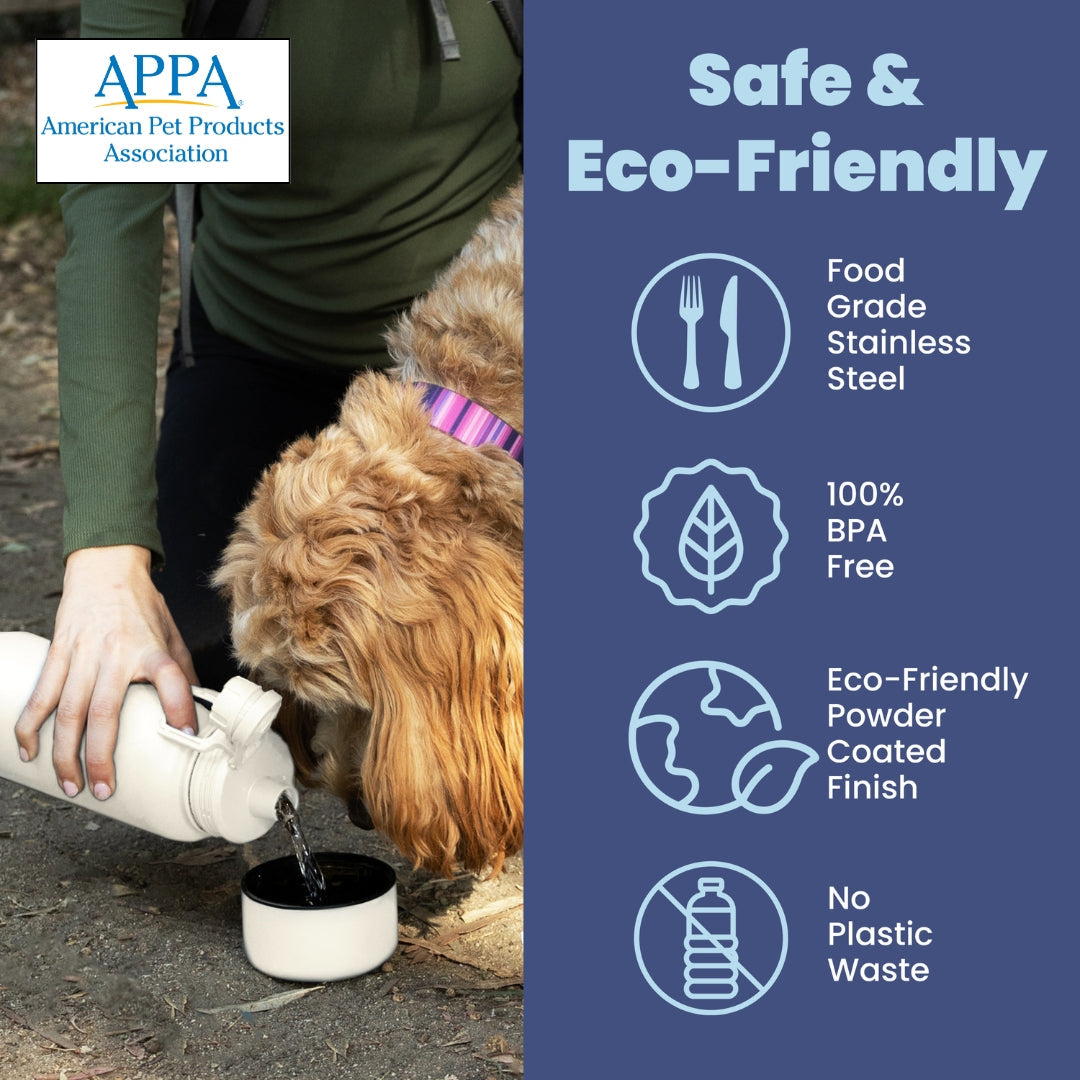 Water Bottle with Dog Bowl