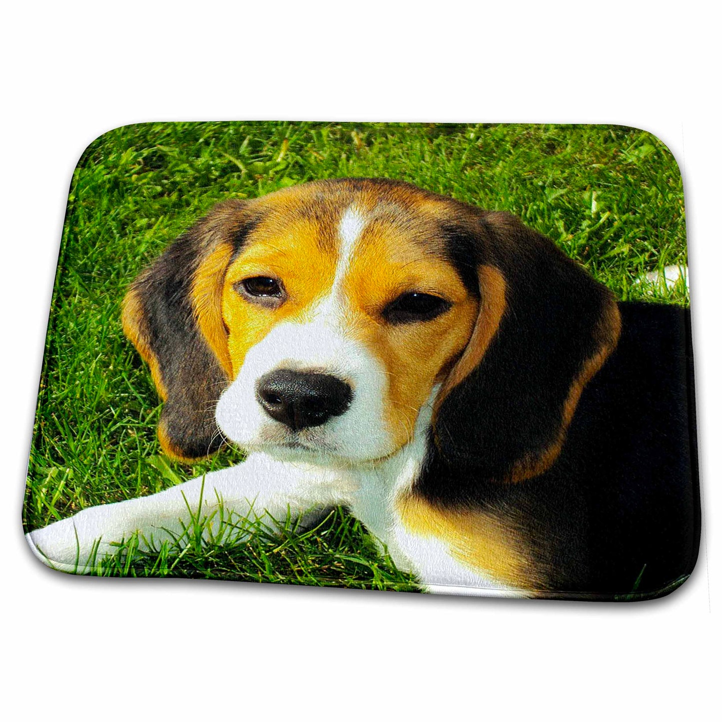 Dish Drying Mat