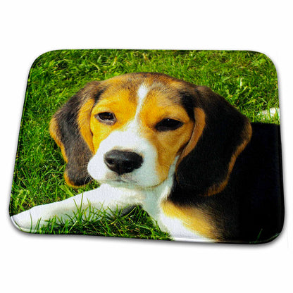 Dish Drying Mat