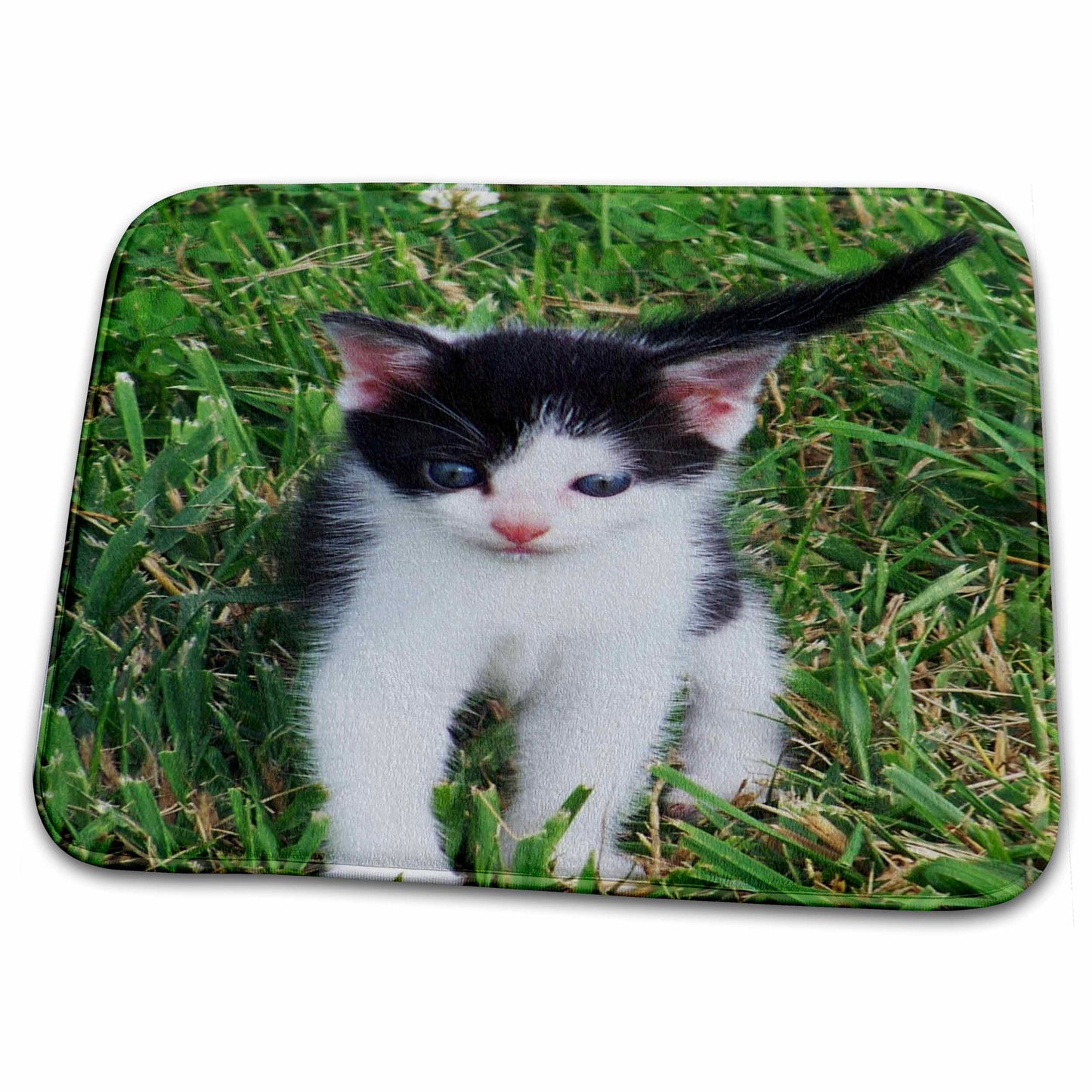 Dish Drying Mat