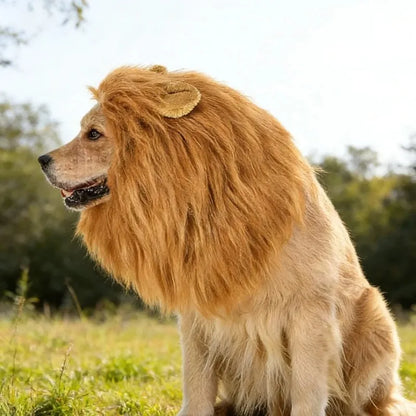 Dog Lion Mane Costume