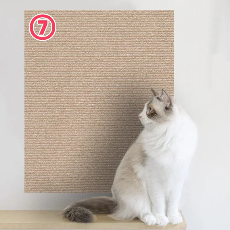 Cats Scratch Board