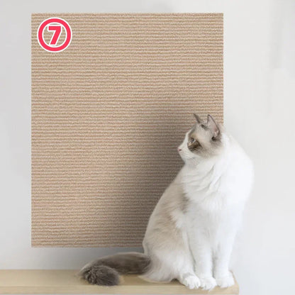 Cats Scratch Board