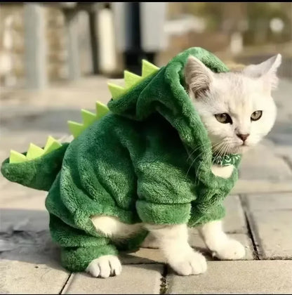 Halloween Dinosaur Costume