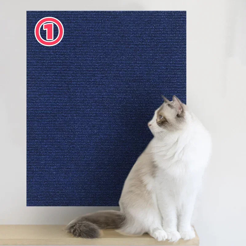 Cats Scratch Board