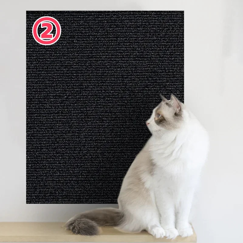 Cats Scratch Board