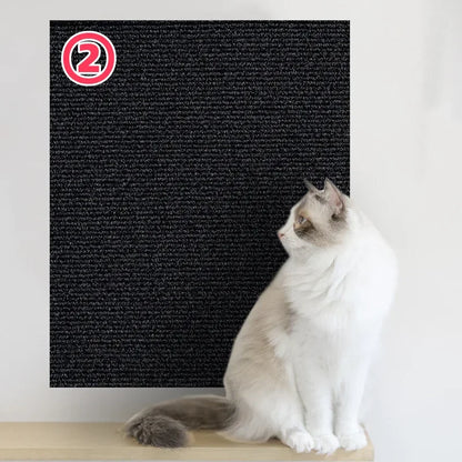 Cats Scratch Board