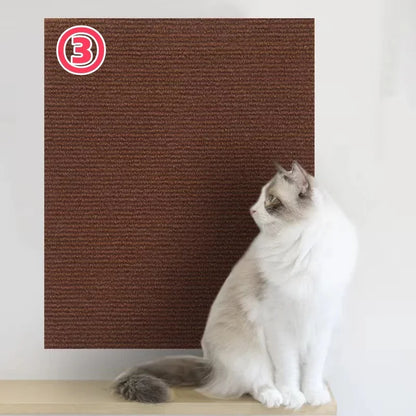 Cats Scratch Board