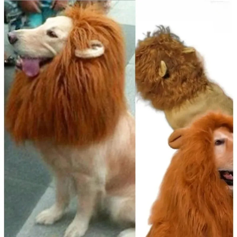 Dog Lion Mane Costume
