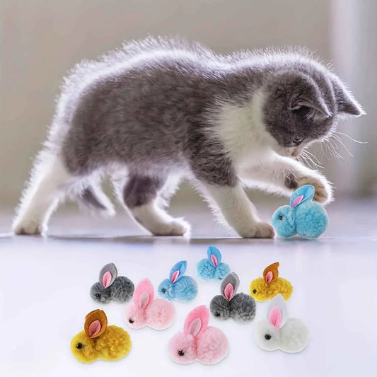 Cat Toy Balls
