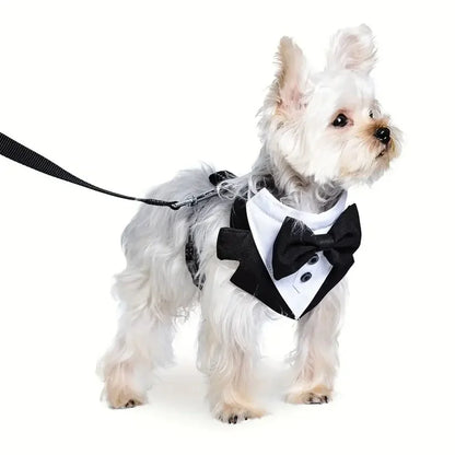 SnugglePet Tuxedo Harness with Bow Tie - 2-in-1 Vest Harness, Reflective Stitching, Back D-Ring, S–XL, Black or Gray