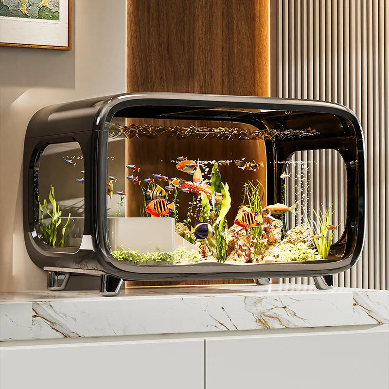 Creative Fish Tank