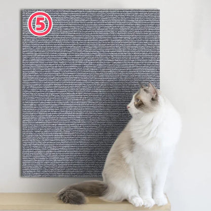Cats Scratch Board