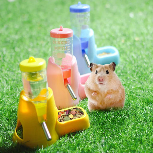 Automatic Water Bottle