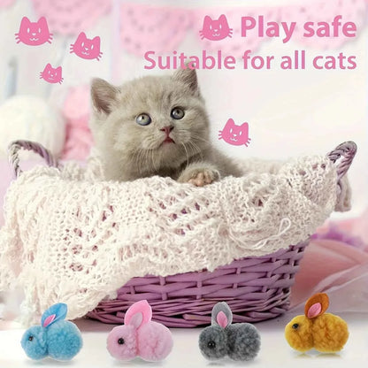 Cat Toy Balls