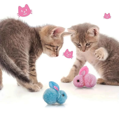 Cat Toy Balls
