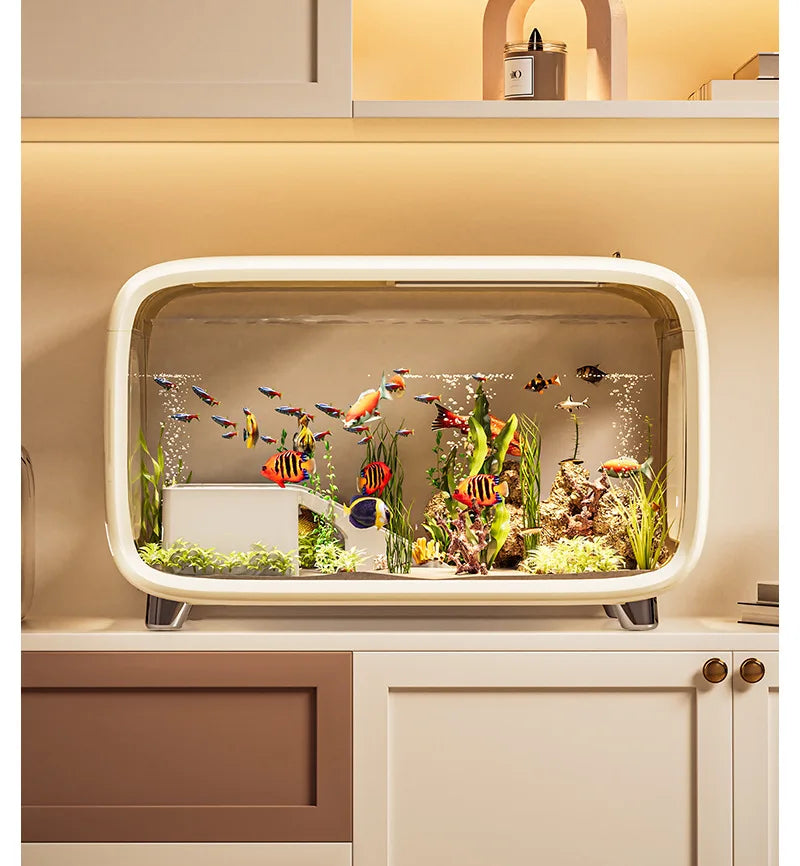 Creative Fish Tank