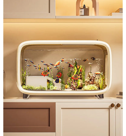 Creative Fish Tank