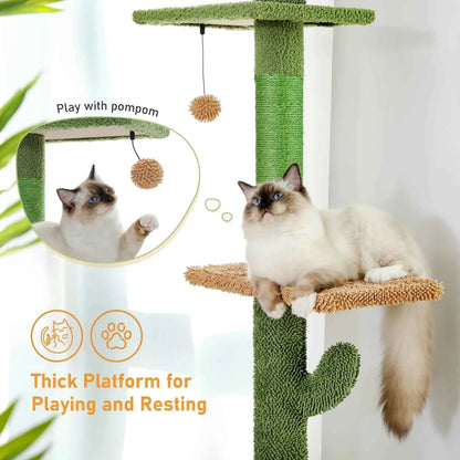 Cat Tree