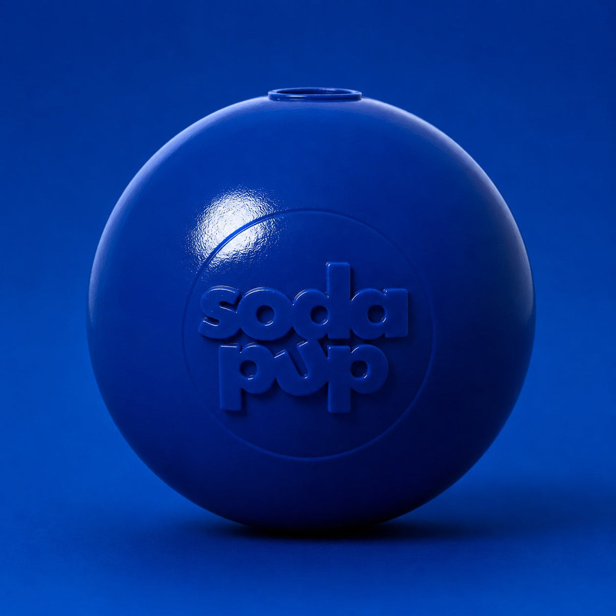 Squeaky Dog Toy