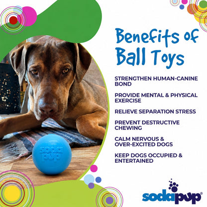 Squeaky Dog Toy