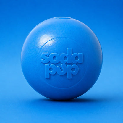 Squeaky Dog Toy