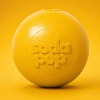 Squeaky Dog Toy