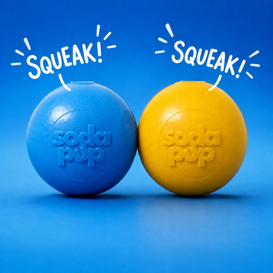 Squeaky Dog Toy