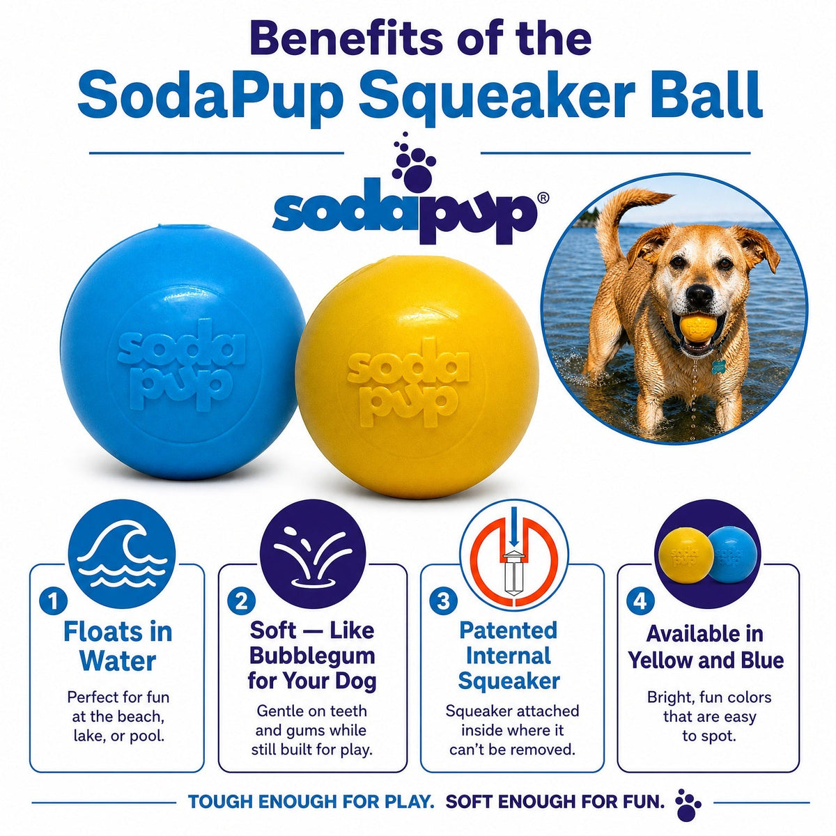 Squeaky Dog Toy
