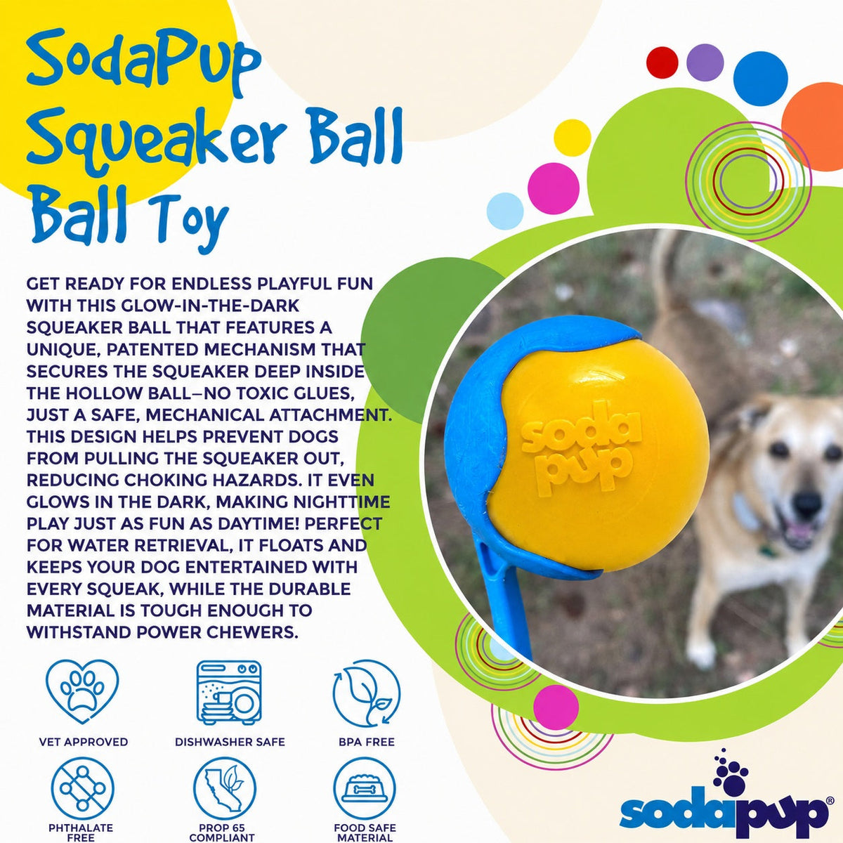 Squeaky Dog Toy