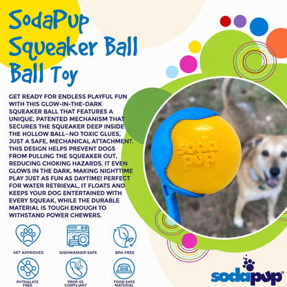 Squeaky Dog Toy